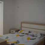 Apartment Orchidea *